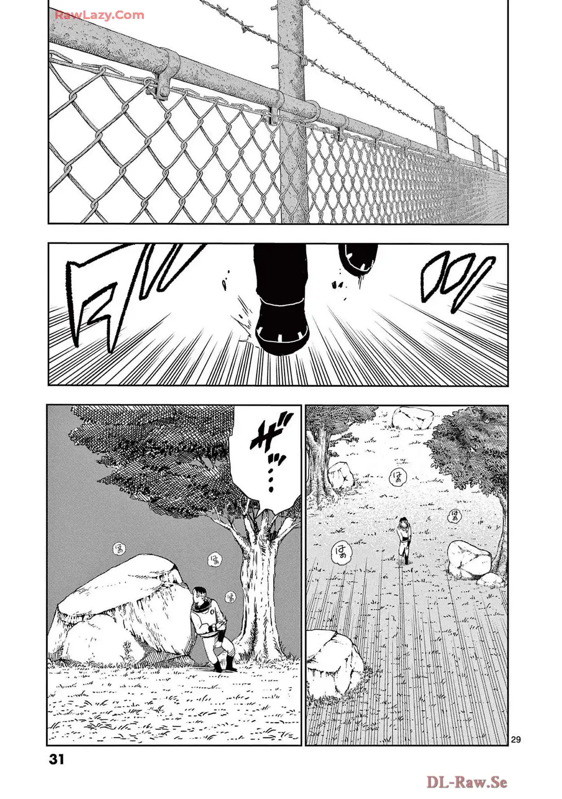 P29