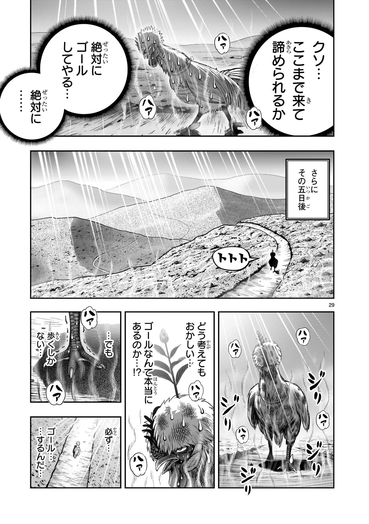 P29