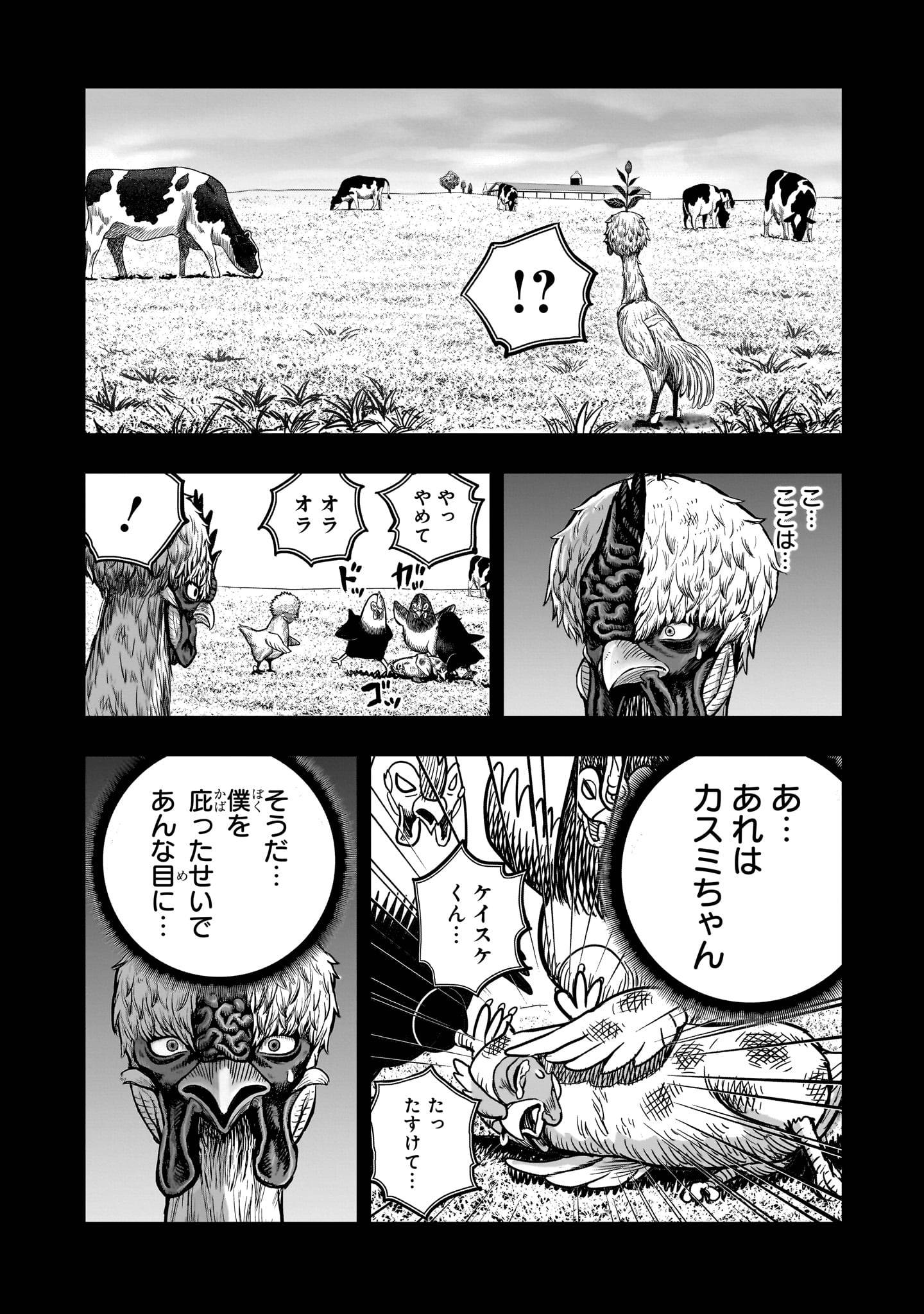 P40