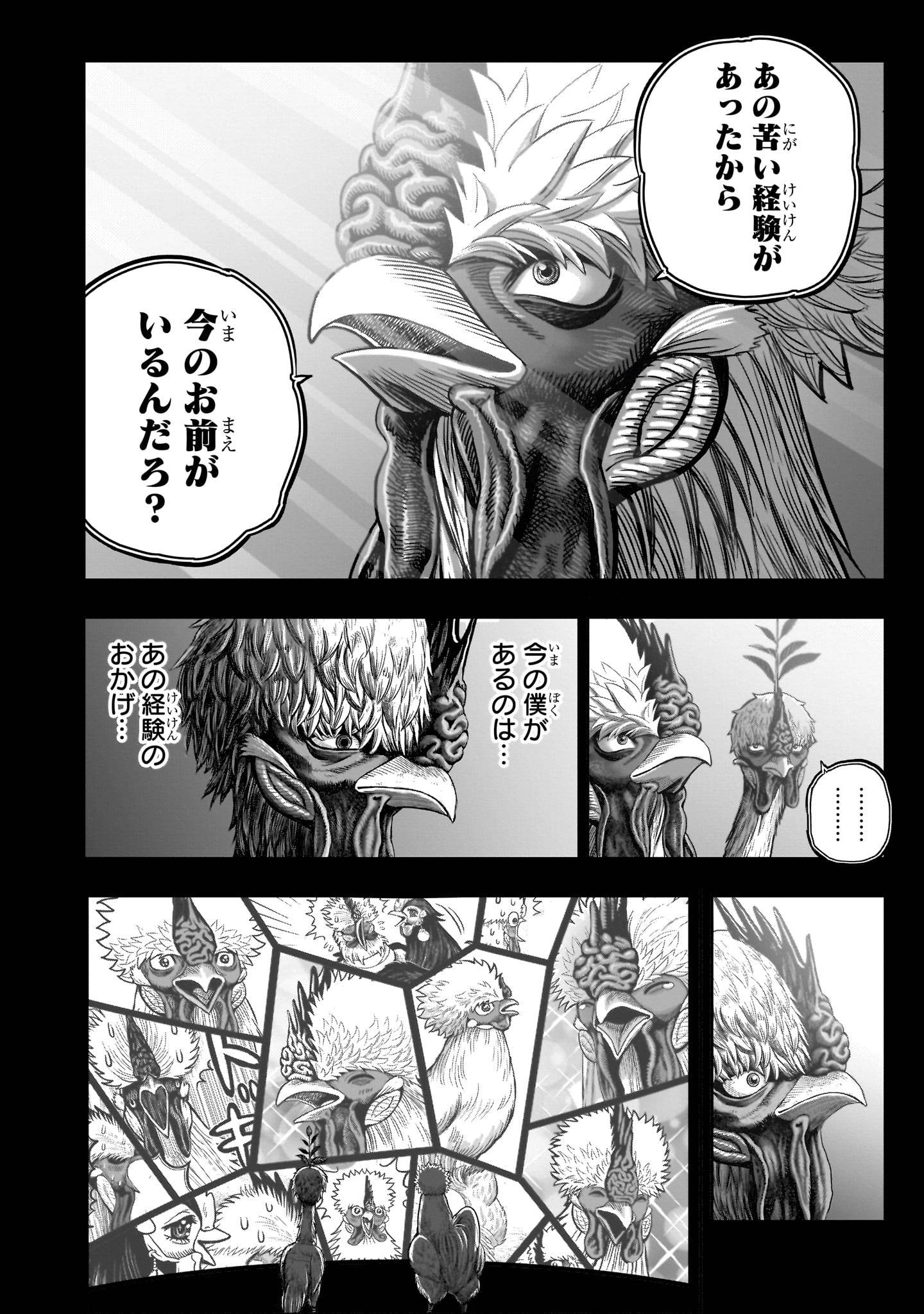P46