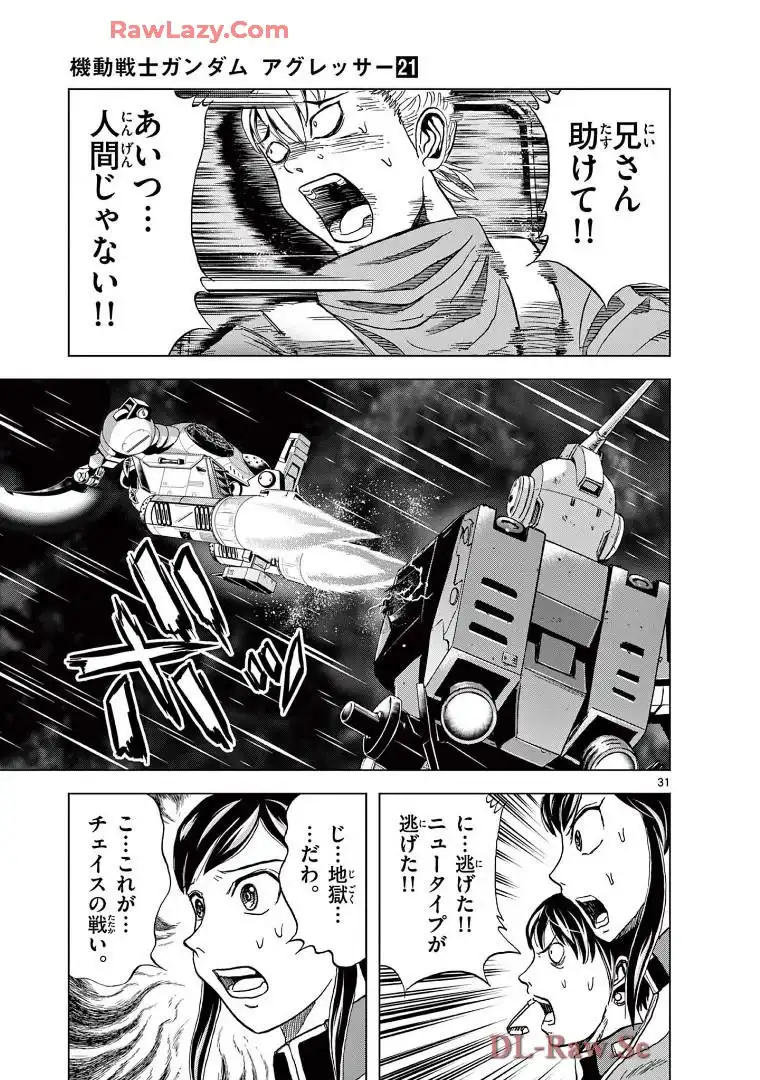 P31