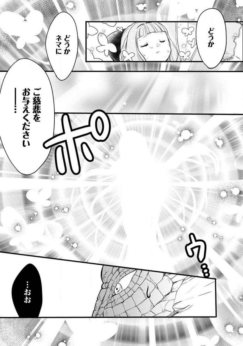 P29