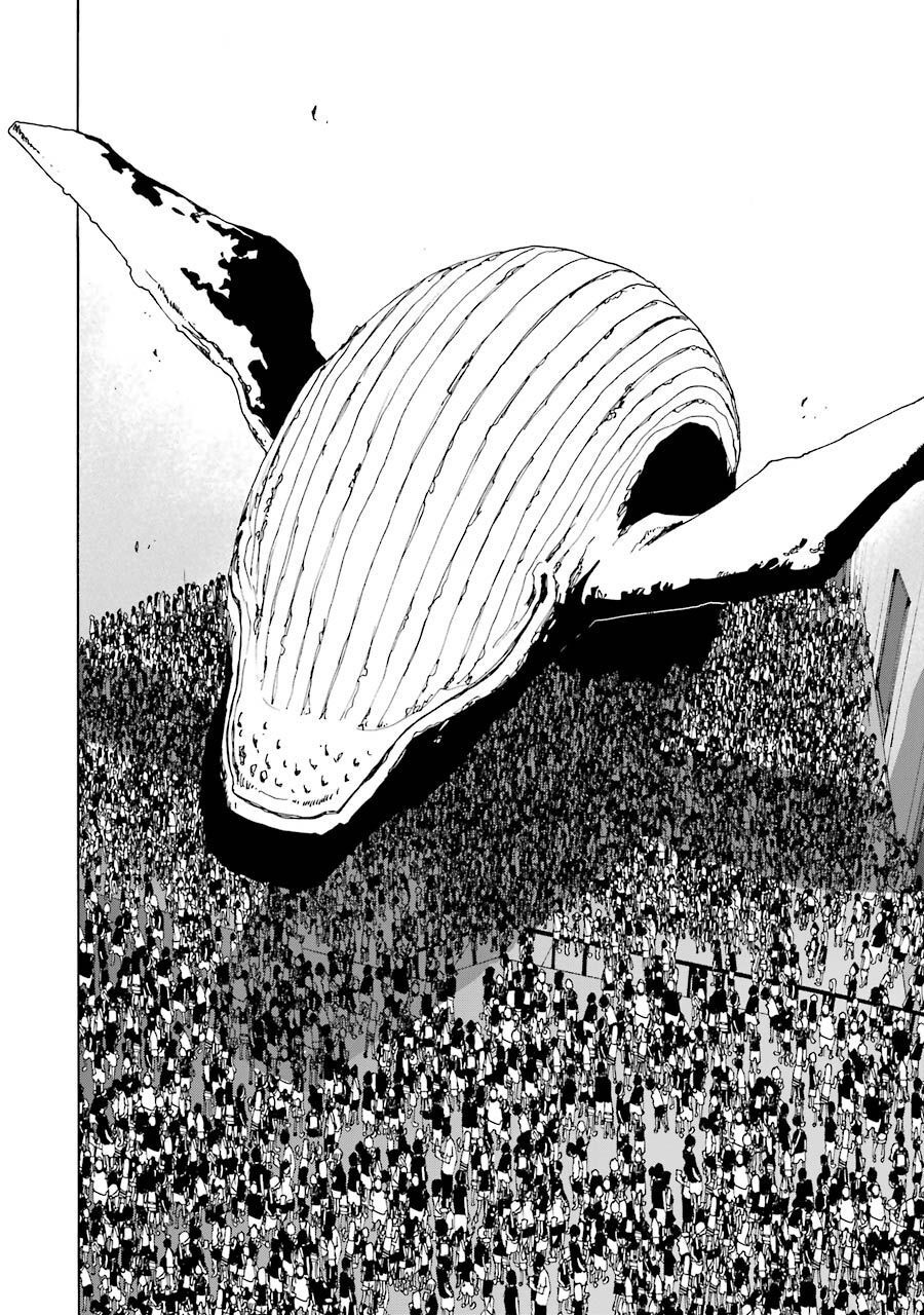 P65