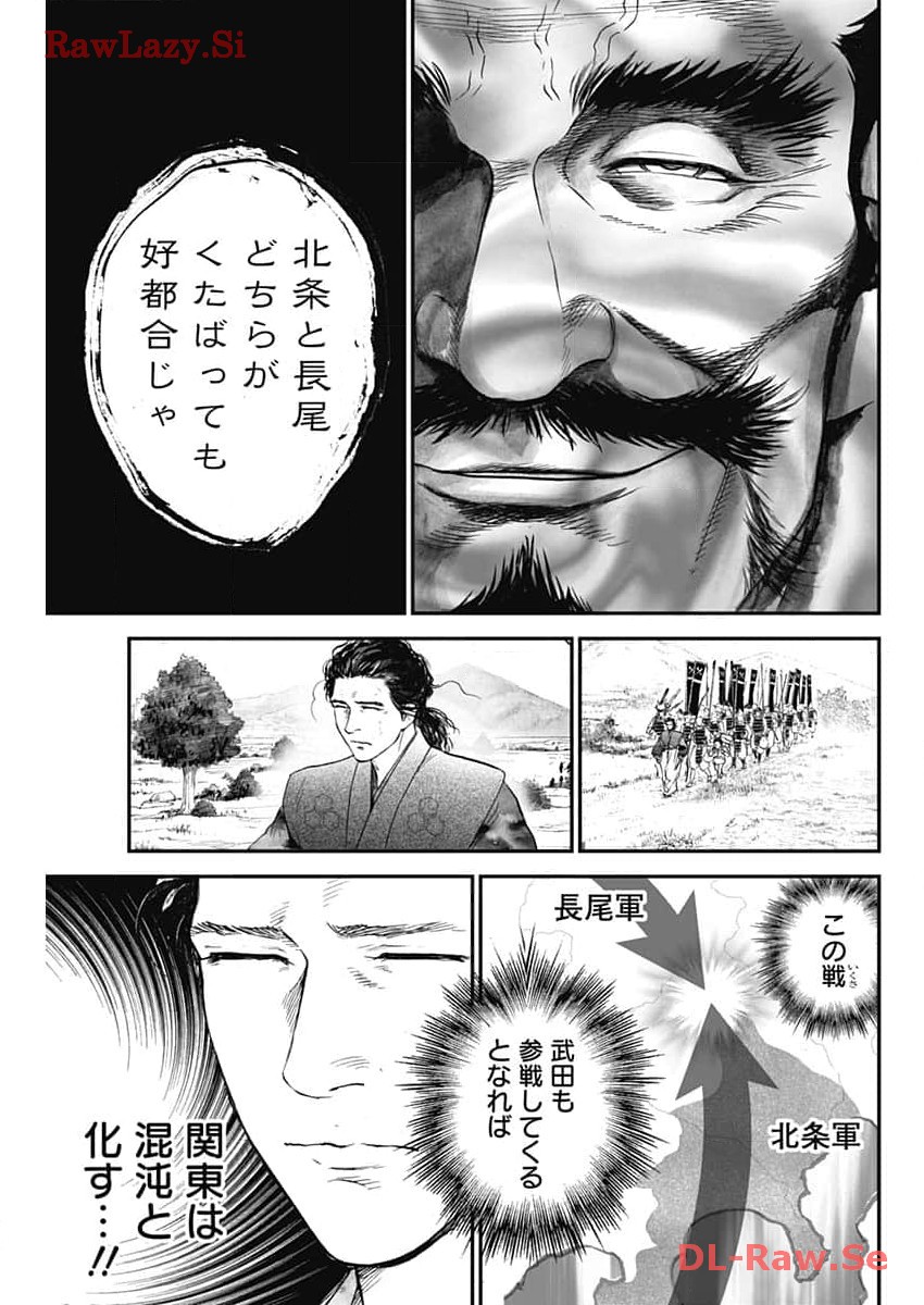P29