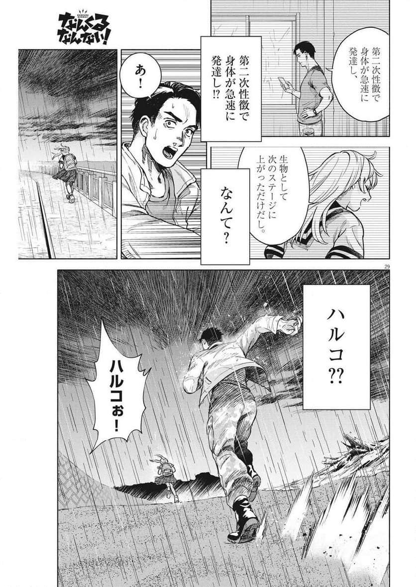 P29