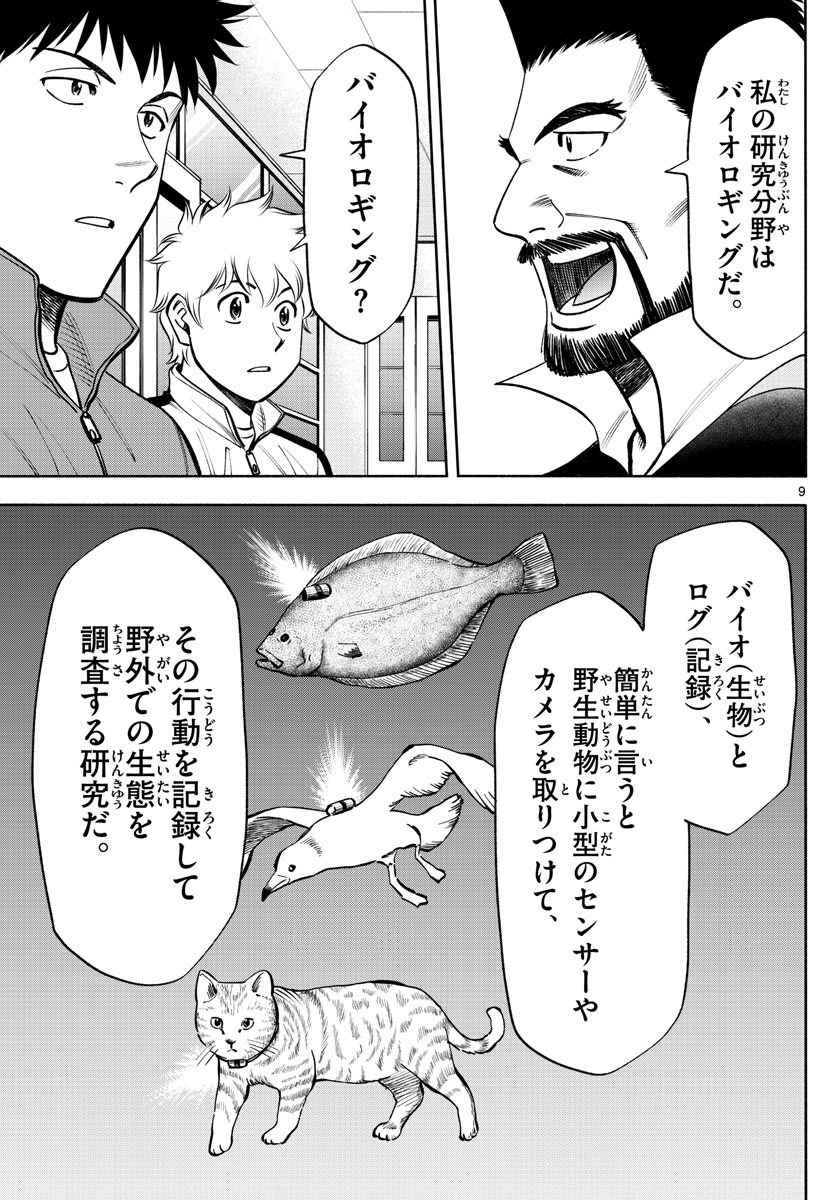 P9
