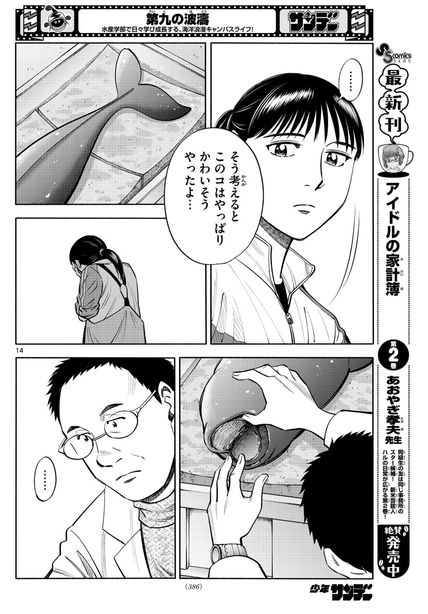 P14