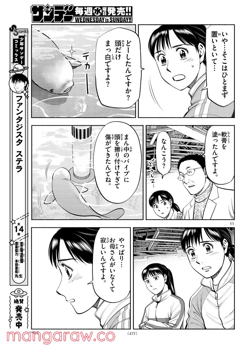 P11