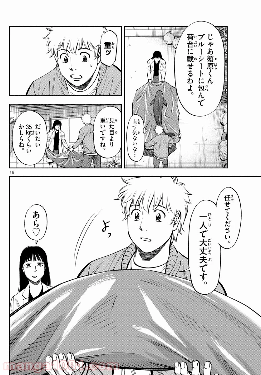 P16