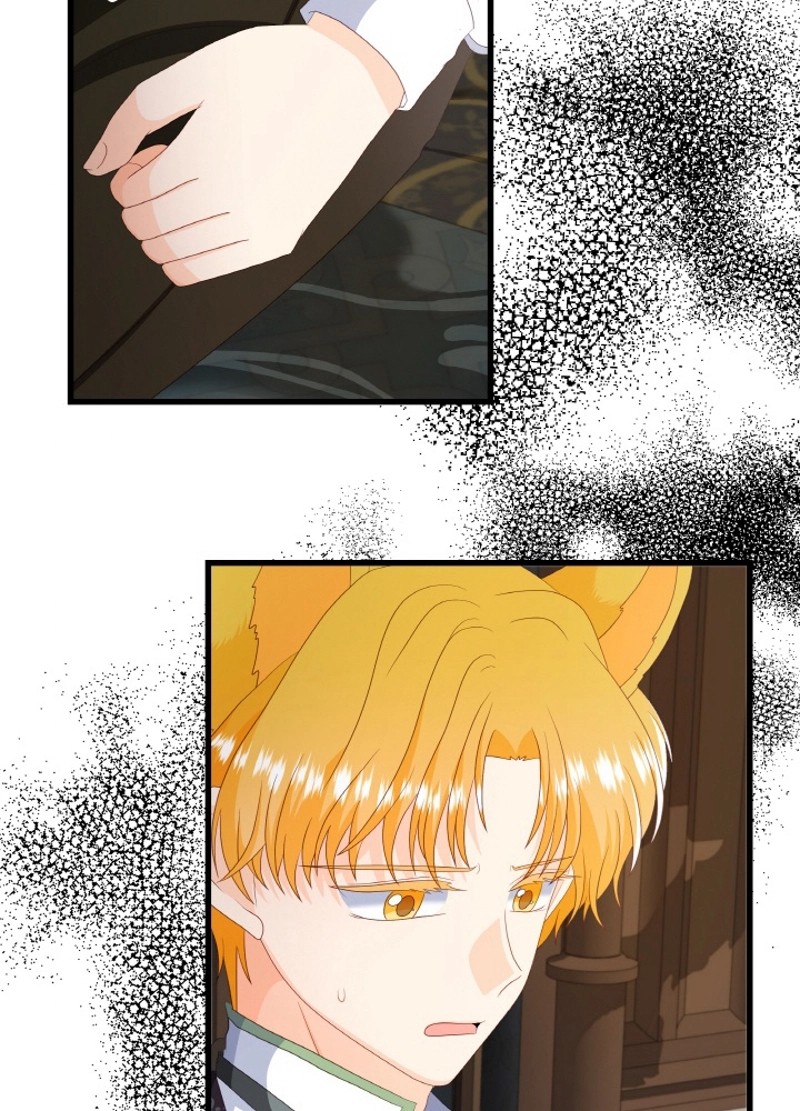 P66