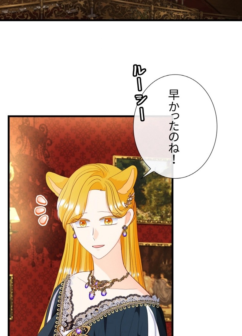 P54