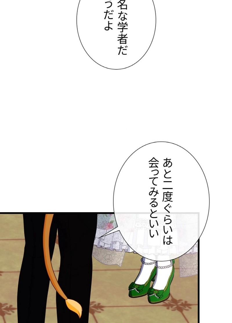 P63