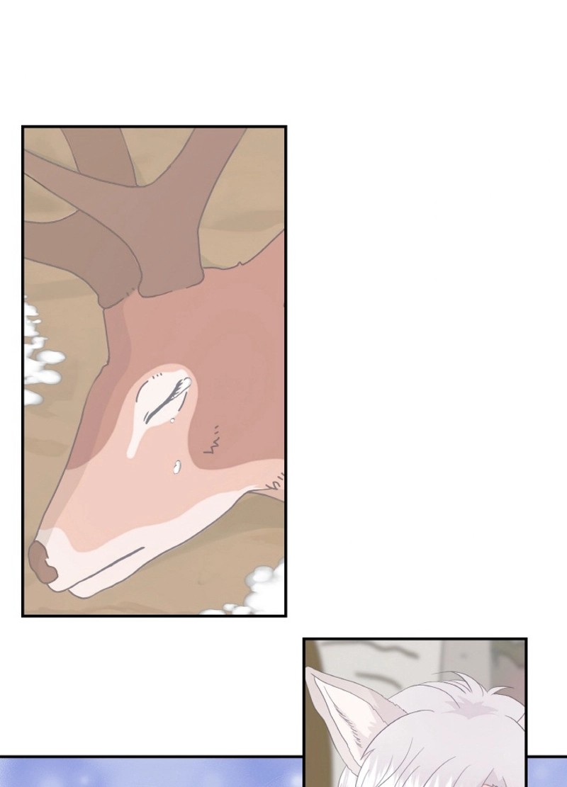 P42