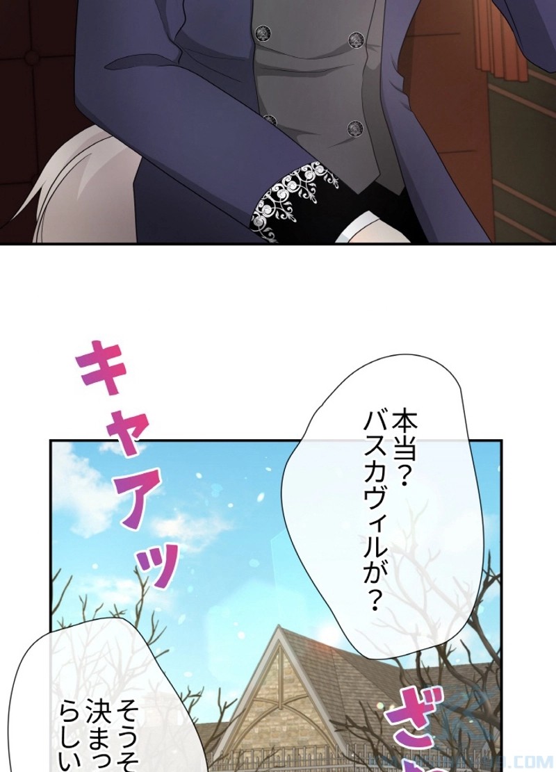 P41