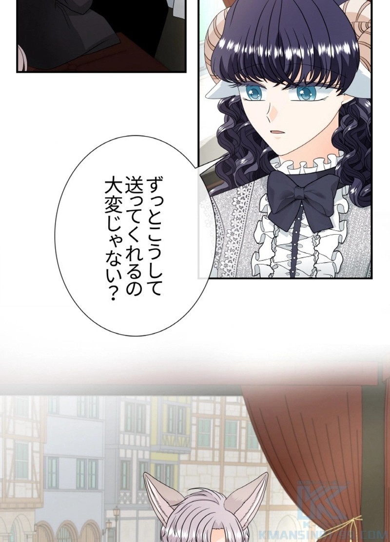 P53