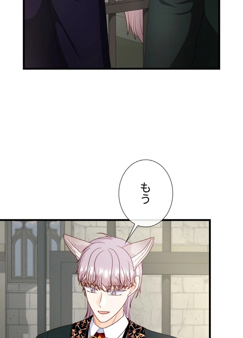 P63