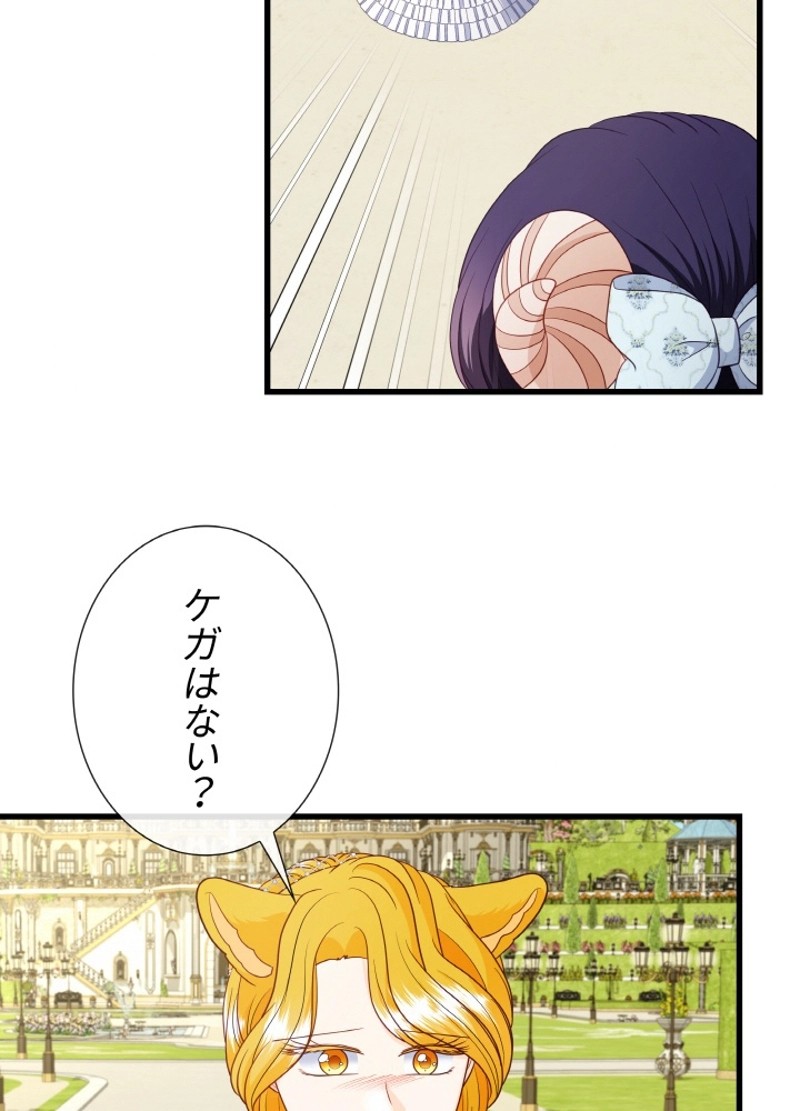 P68