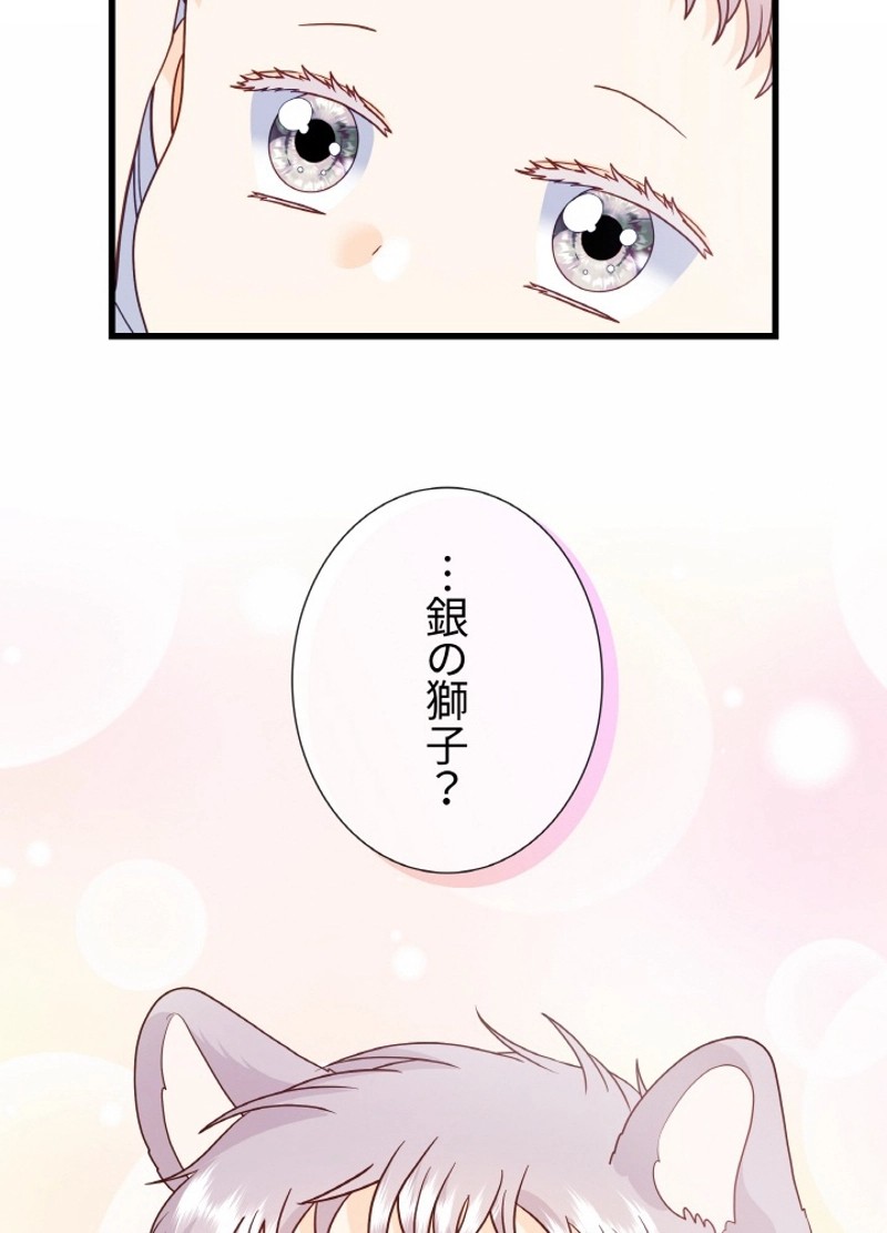 P68
