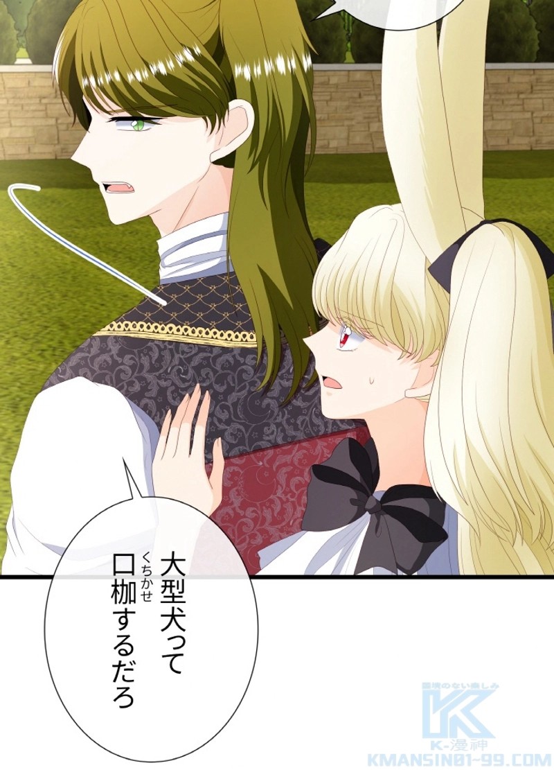 P53