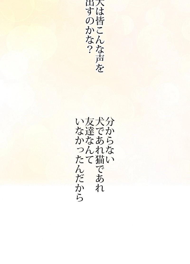 P81
