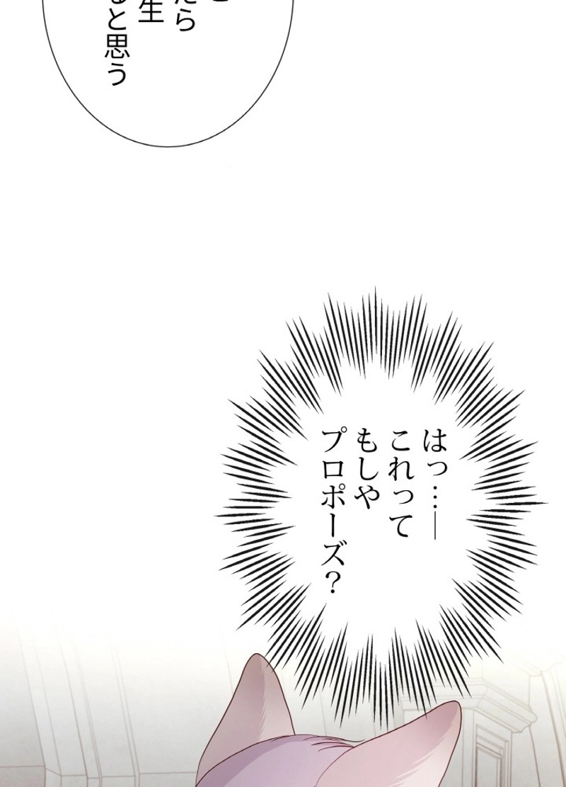 P48