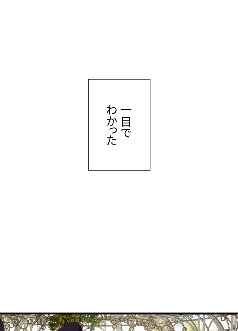 P61