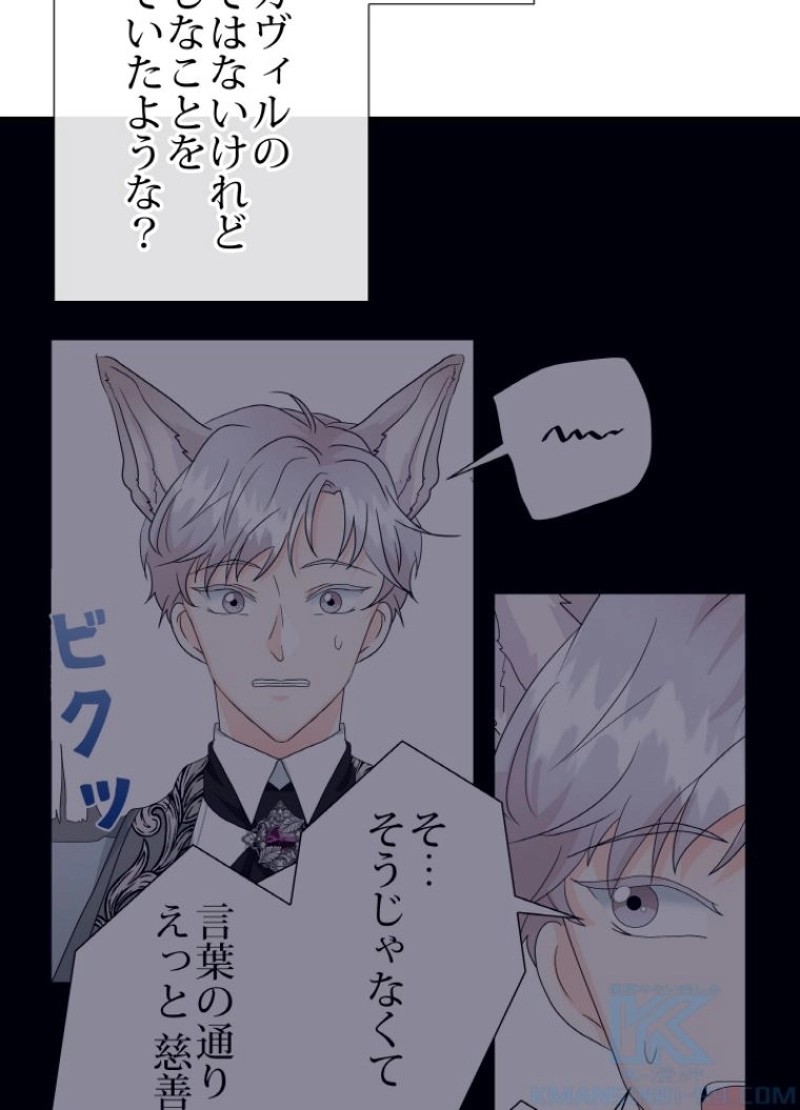 P53
