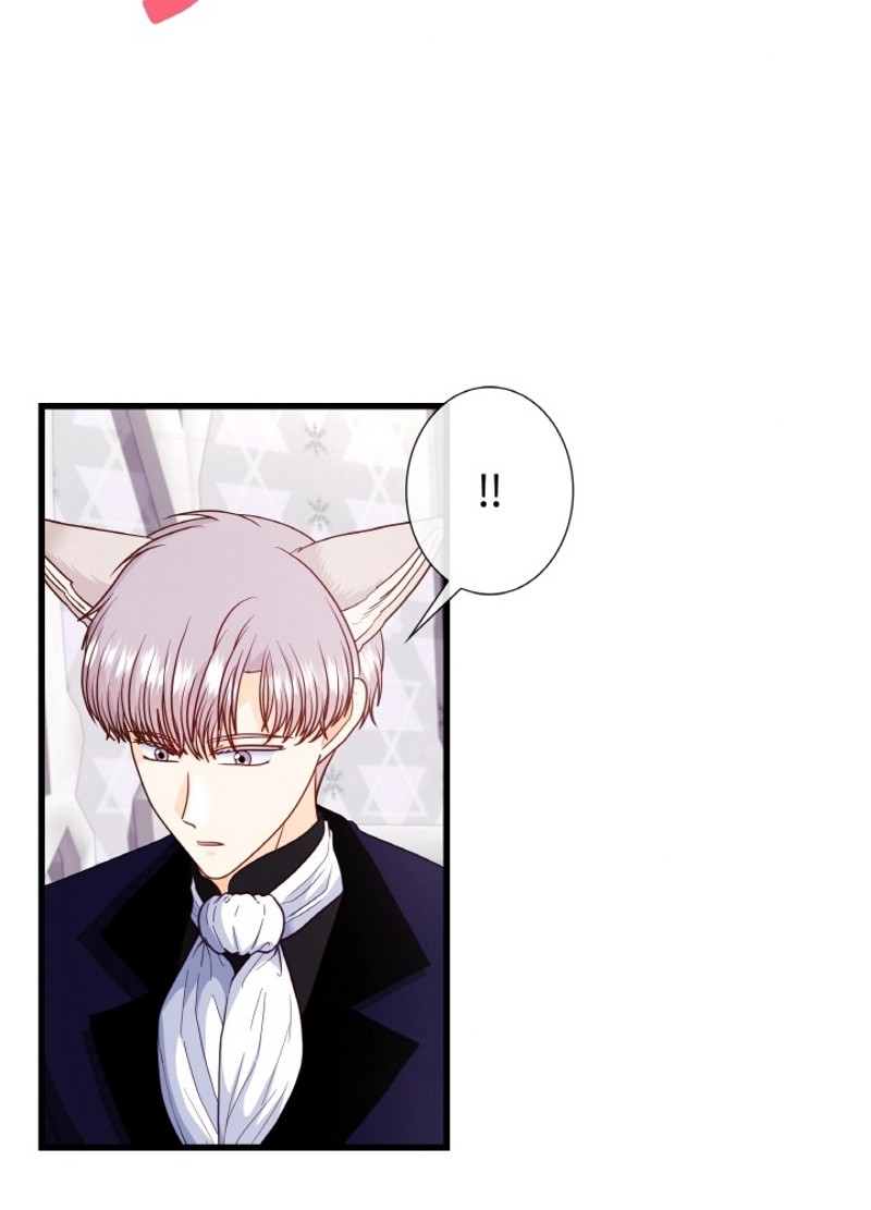 P66