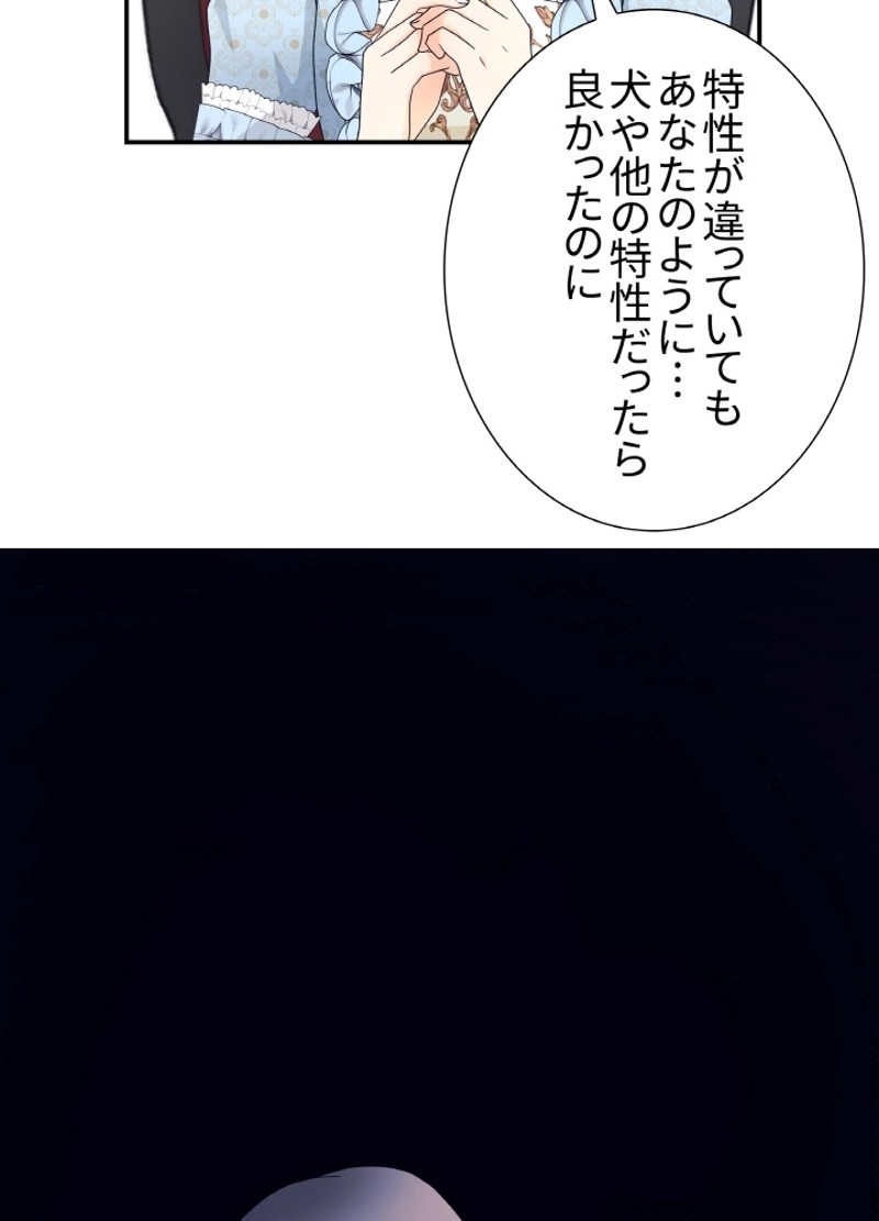 P58