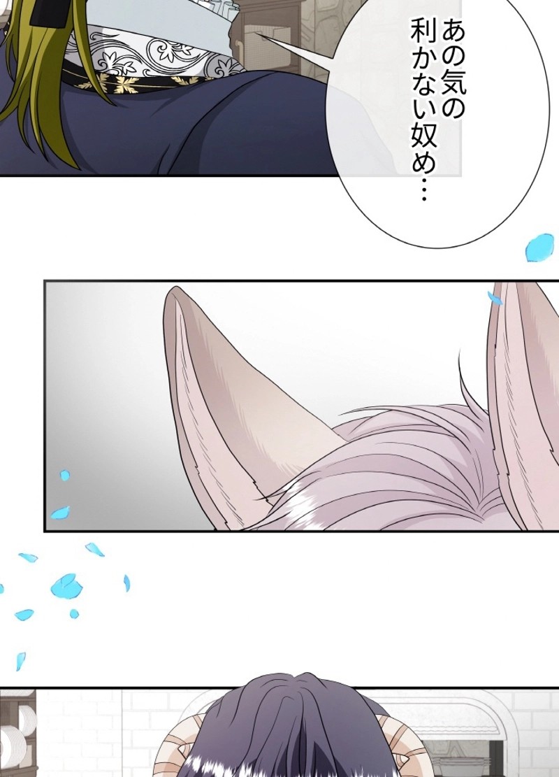 P63