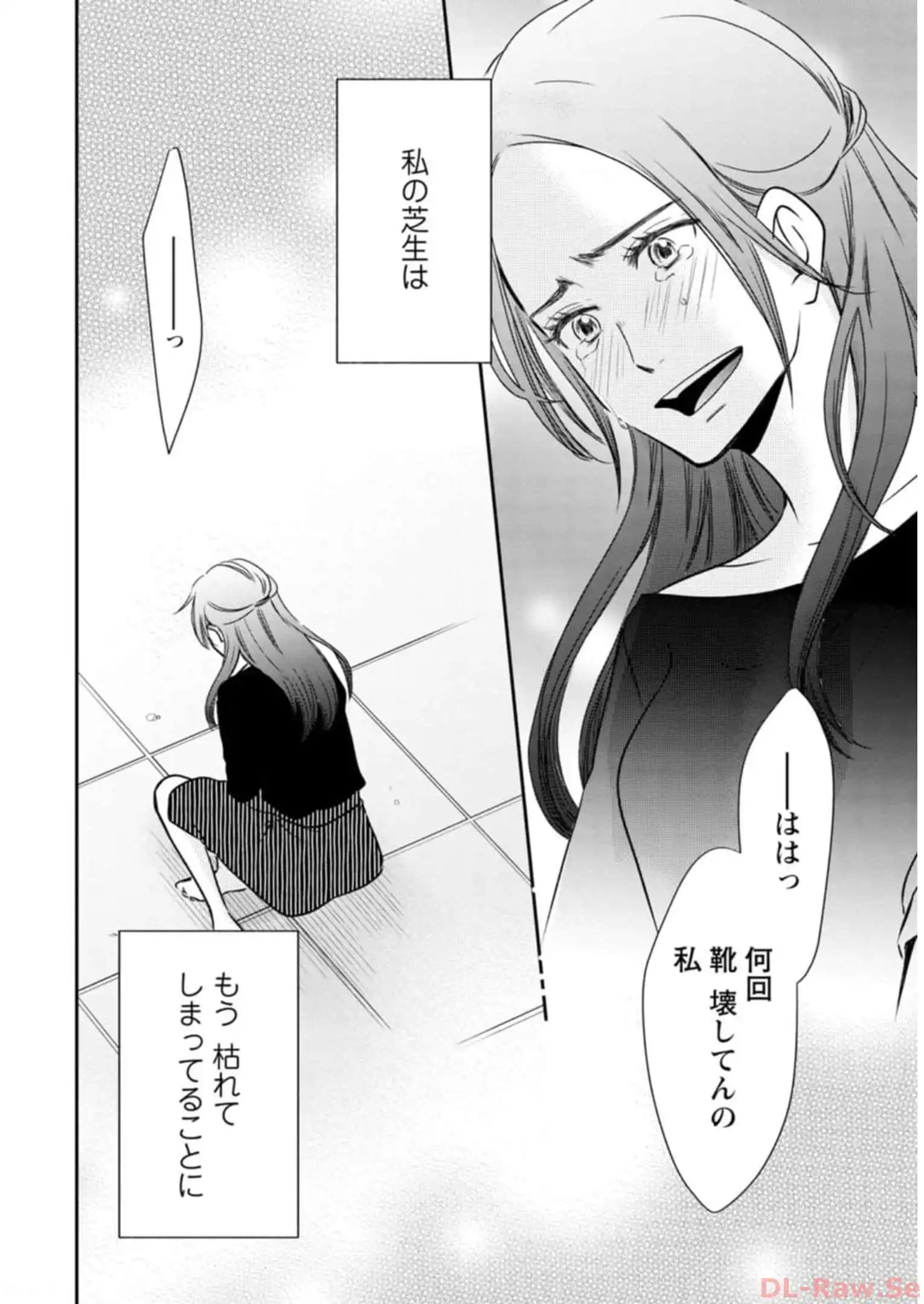 P26