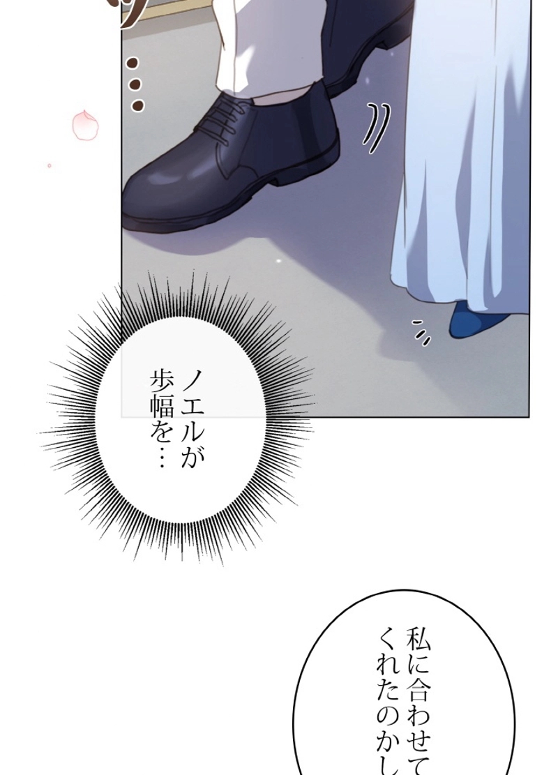 P63