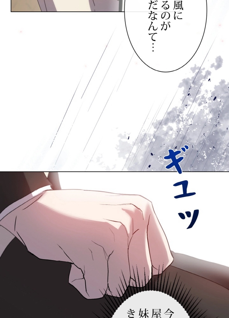 P63