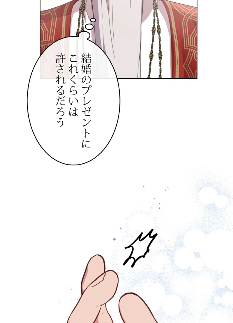P41