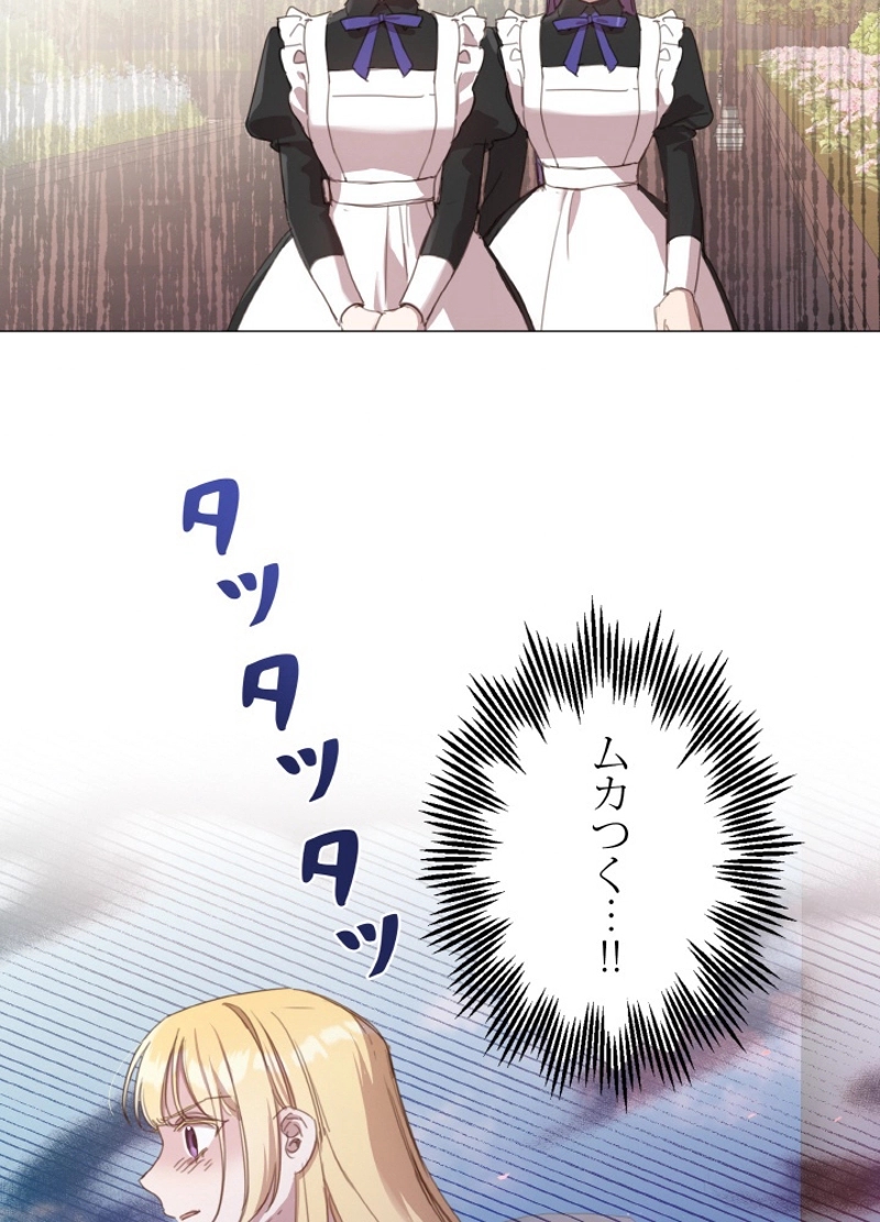P53