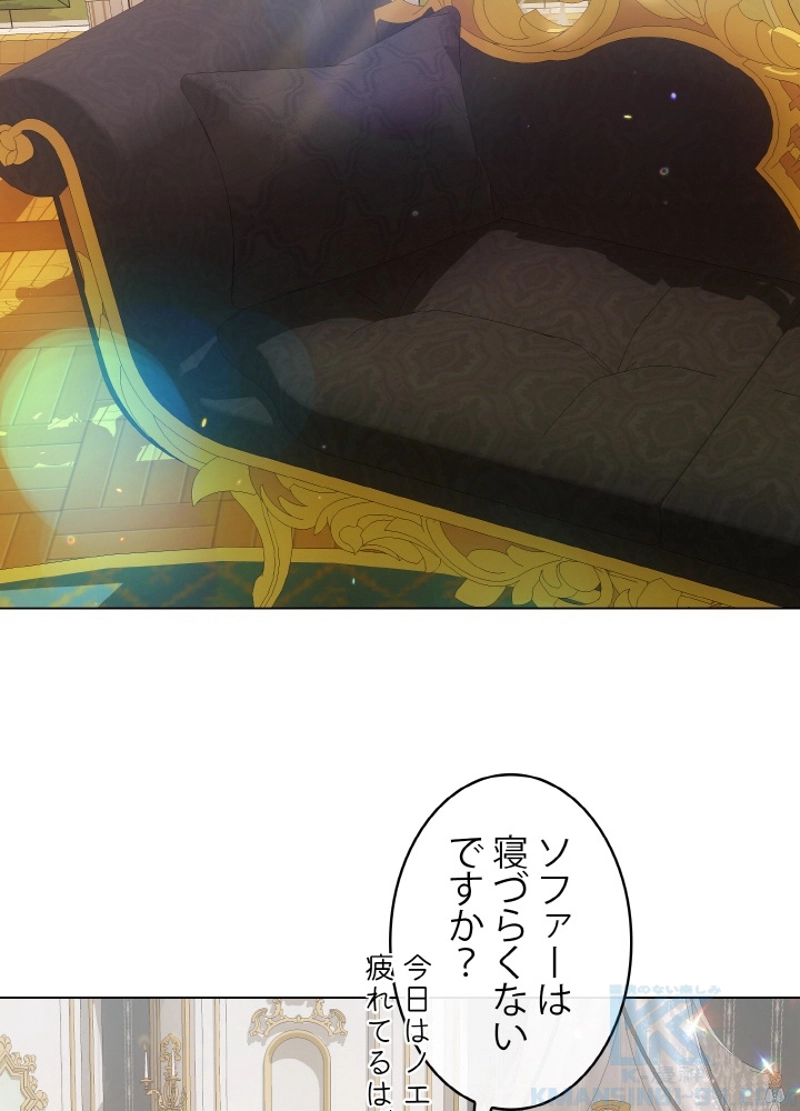 P58