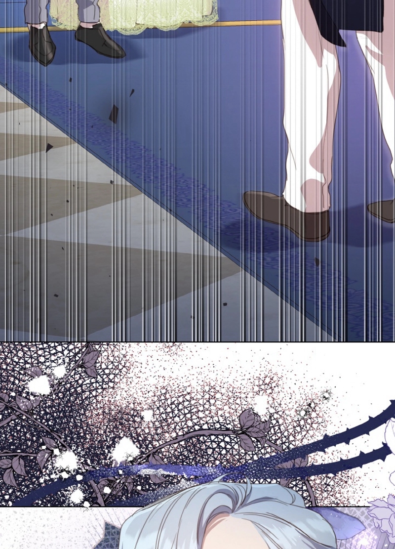 P81