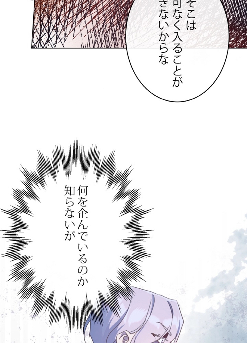 P81