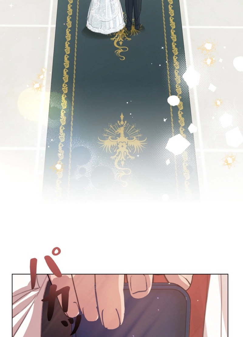 P81