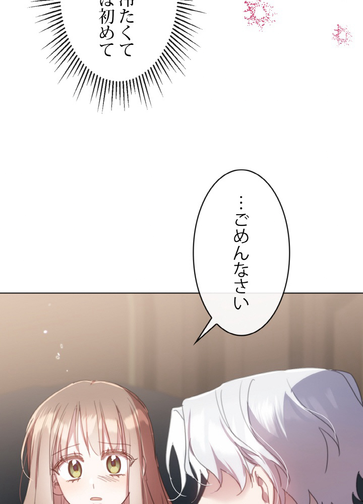 P53
