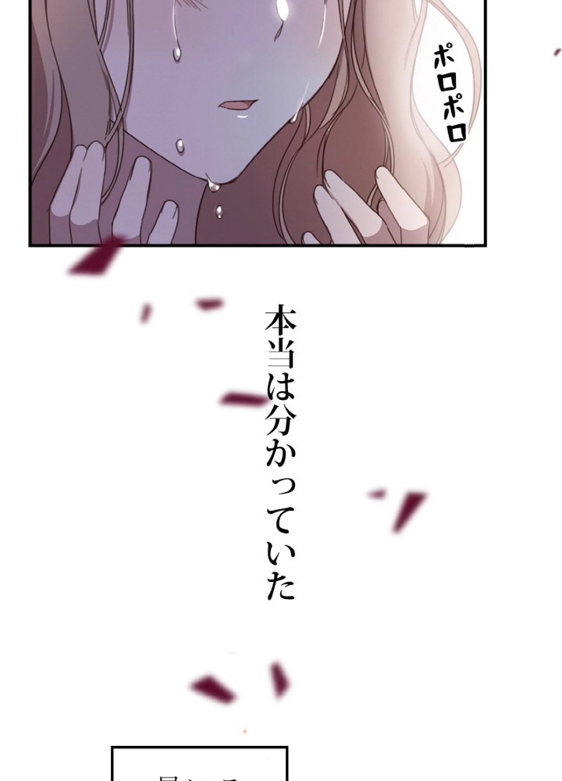 P63