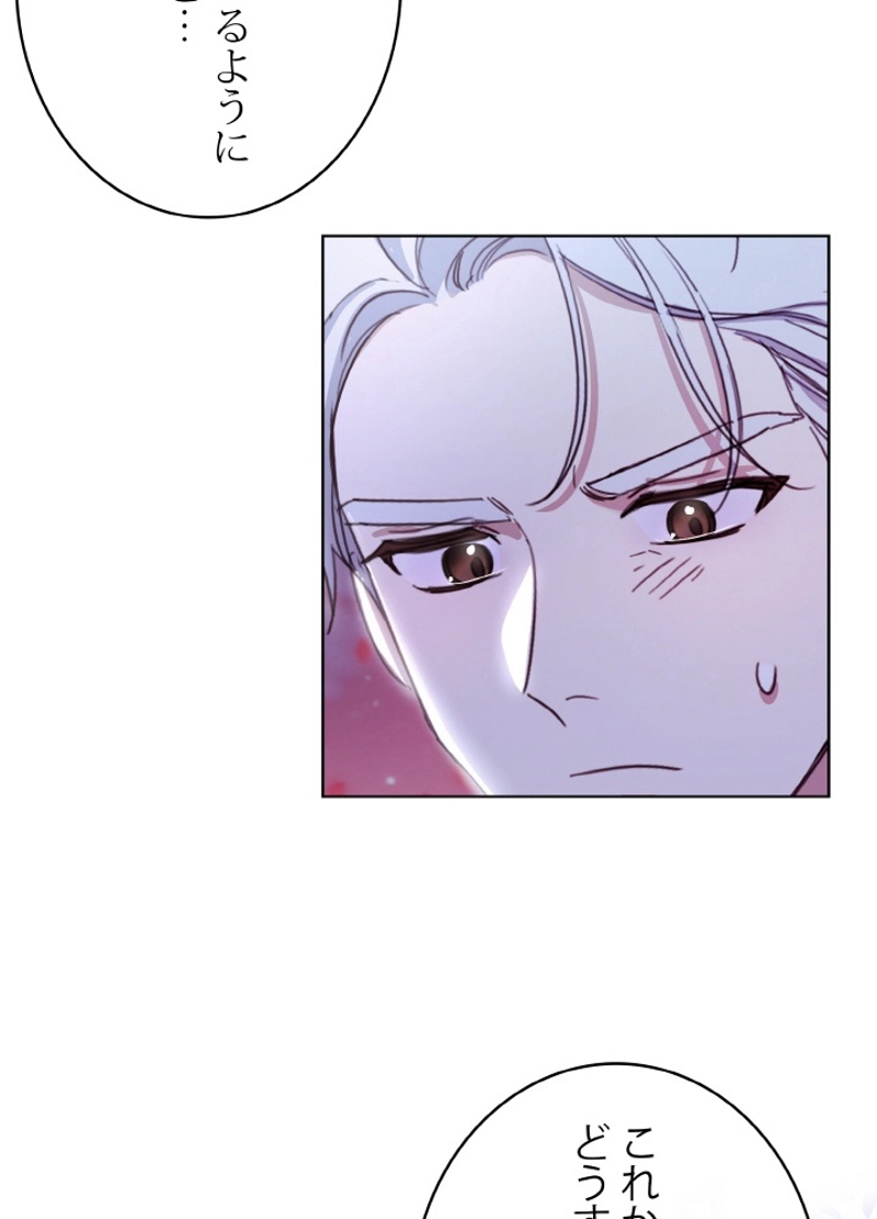 P58
