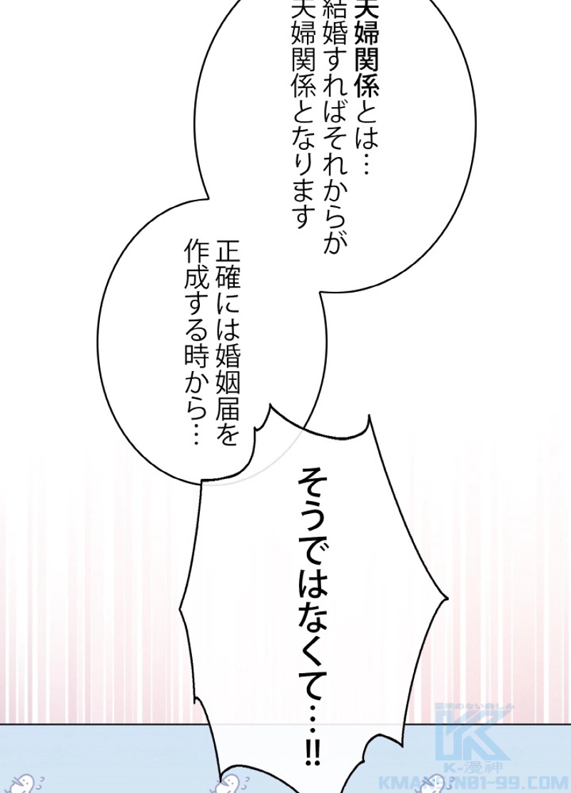 P58