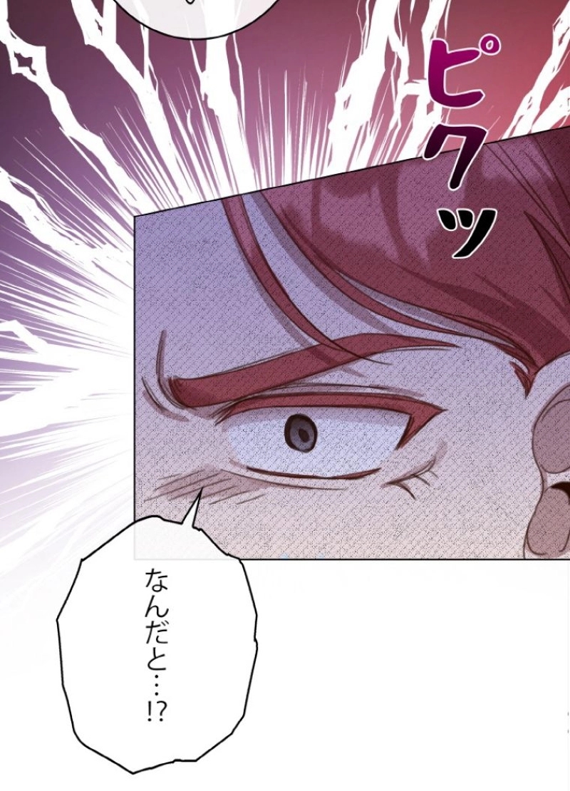 P58