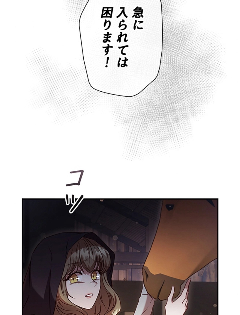 P41