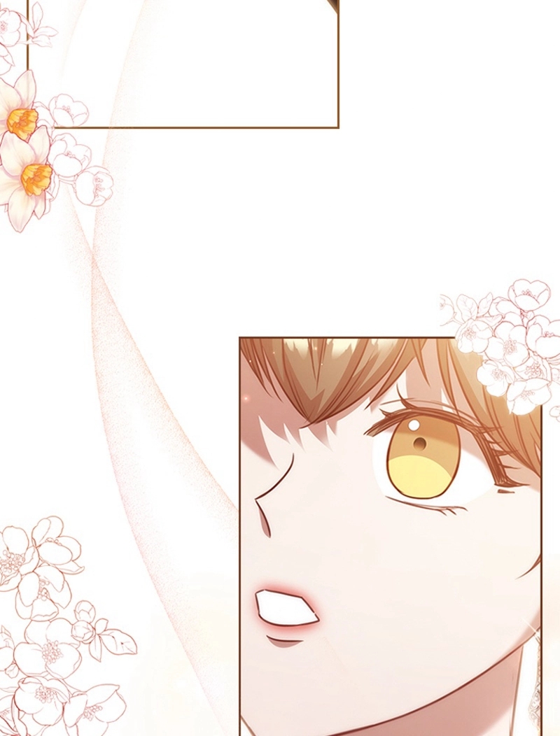 P66