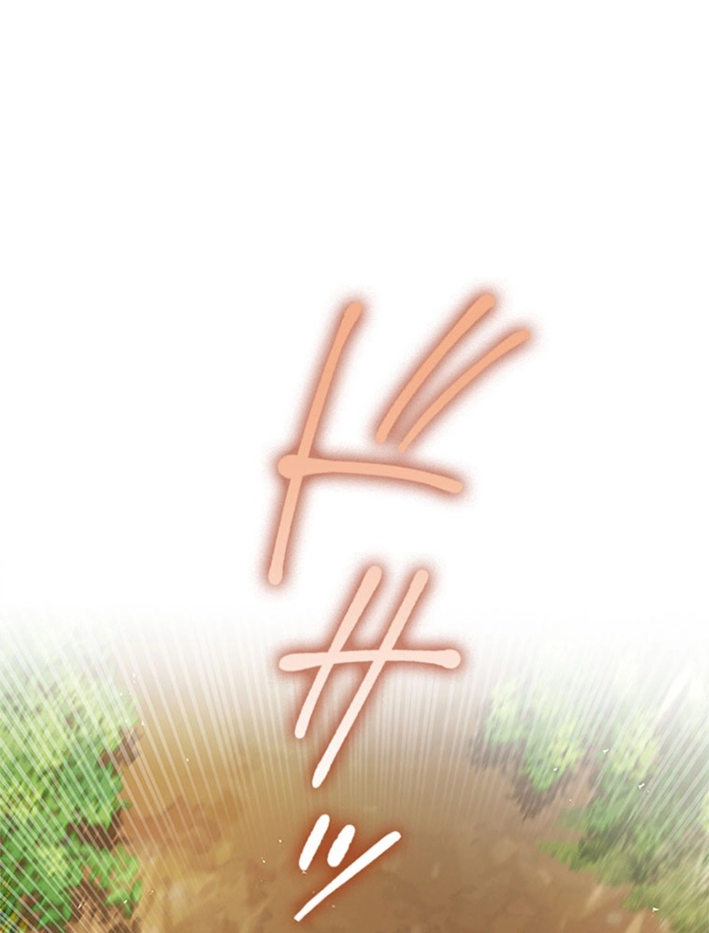 P63