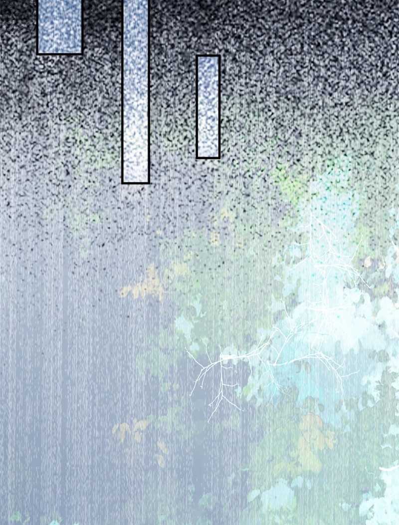P24