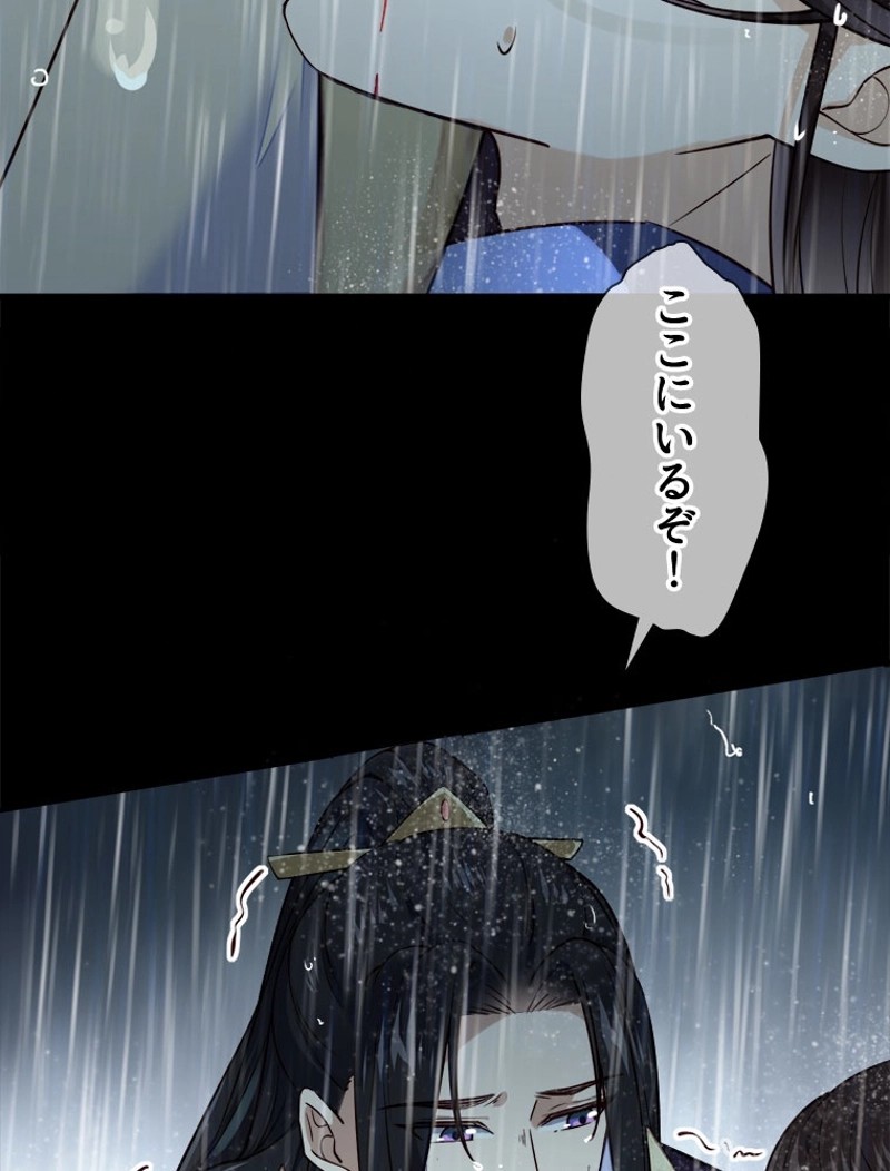P53