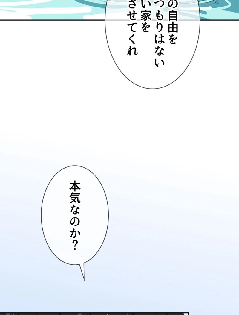 P58